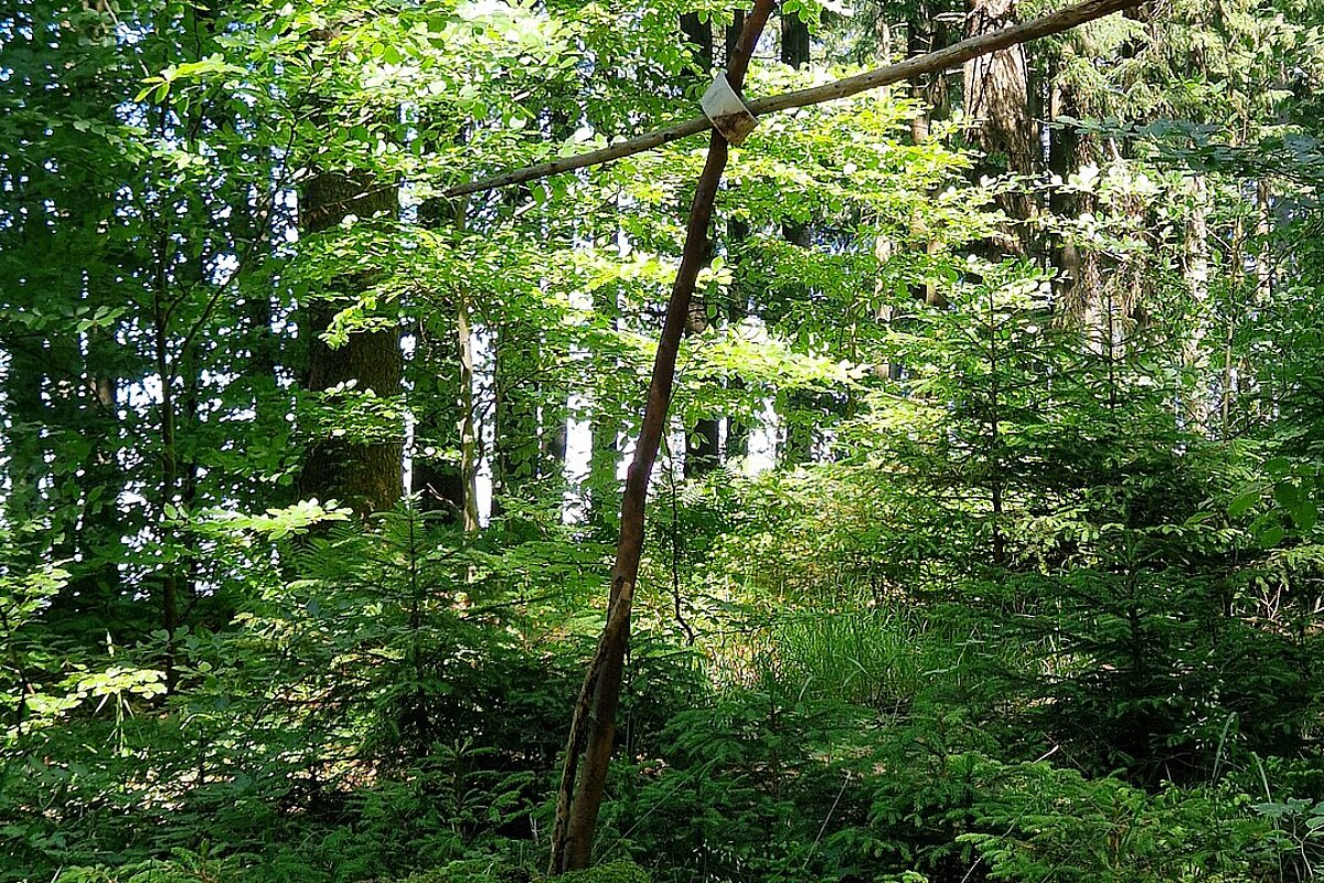2026_06_19_glasenberg_001.jpg